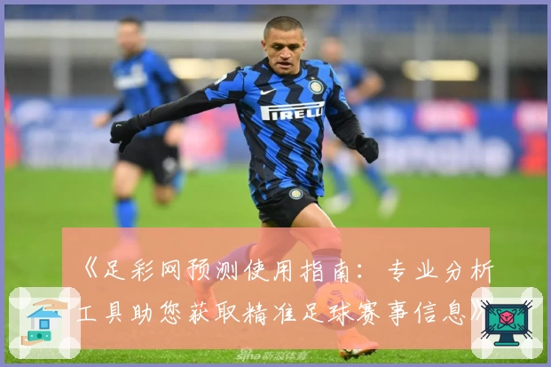 《足彩网预测使用指南：专业分析工具助您获取精准足球赛事信息》