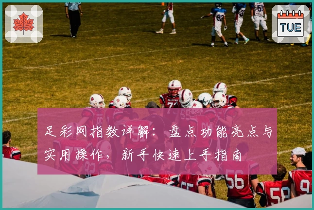 足彩网指数详解：盘点功能亮点与实用操作，新手快速上手指南