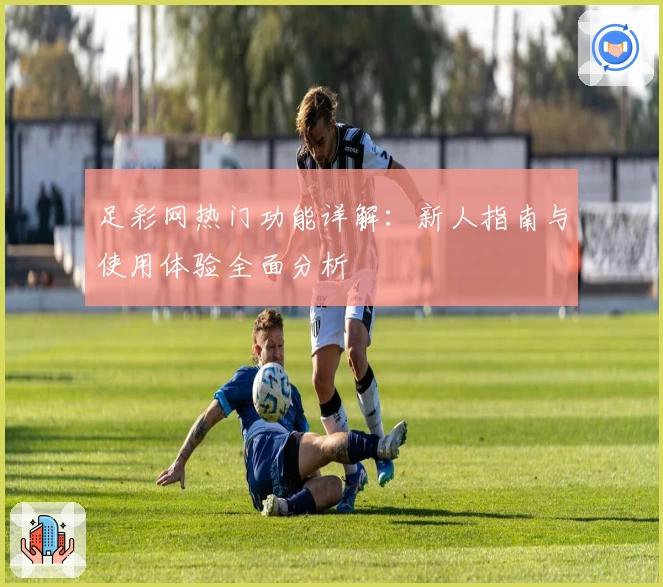 足彩网热门功能详解：新人指南与使用体验全面分析