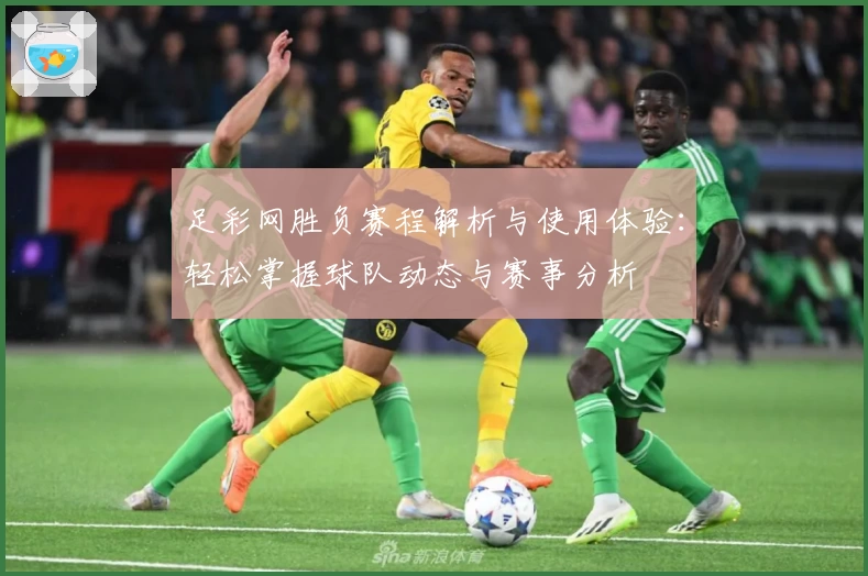 足彩网胜负赛程解析与使用体验：轻松掌握球队动态与赛事分析