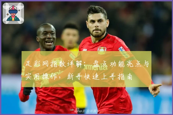 足彩网指数详解：盘点功能亮点与实用操作，新手快速上手指南