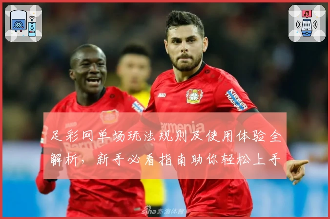 足彩网单场玩法规则及使用体验全解析,新手必看指南助你轻松上手